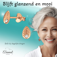 Zilveren Blaadje Oorbellen Ros&Atilde;&copy;/Kristal &acirc;&euro;&ldquo; 6x4mm -