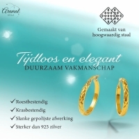 Goudkleurige Stalen Oorringen met Ruitjes Motief 30mm -