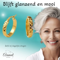 Oorringen Ruitjes Goudkleur Staal &acirc;&euro;&ldquo; 25mm -