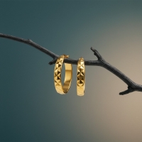 Oorringen Ruitjes Goudkleur Staal &acirc;&euro;&ldquo; 25mm -