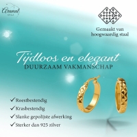 Oorringen Ruitjes Goudkleur Staal &acirc;&euro;&ldquo; 25mm -