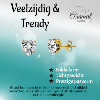 Zirkonia Hart Oorbellen Goudkleur &acirc;&euro;&ldquo; 6mm -