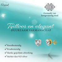 Zirkonia Hart Oorbellen Goudkleur &acirc;&euro;&ldquo; 6mm -