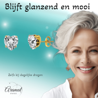 Zirkonia Hart Oorbellen Goudkleur &acirc;&euro;&ldquo; 6mm -