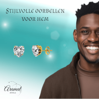 Zirkonia Hart Oorbellen Goudkleur &acirc;&euro;&ldquo; 6mm -