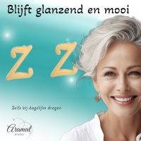 RVS Letter Z Oorbellen Goudkleurig &acirc;&euro;&ldquo; Initiaal -