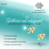 RVS letter N oorstekers goudkleurig -
