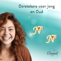 RVS letter N oorstekers goudkleurig -