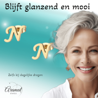 RVS letter N oorstekers goudkleurig -