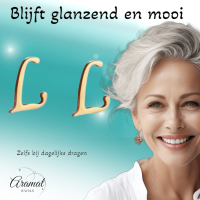 RVS letter L oorstekers goudkleurig -
