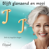 RVS letter J oorstekers goudkleurig -