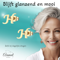Goudkleurige RVS oorstekers Letter H -
