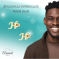 Goudkleurige RVS oorstekers Letter H -