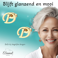 Goudkleurige RVS oorstekers Letter D -