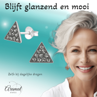 Zilveren Kristallen Oorbellen driehoek Black Diamond -