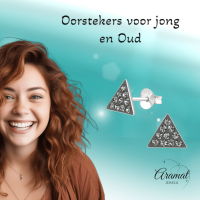 Zilveren Kristallen Oorbellen driehoek Black Diamond -