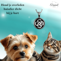 Keltisch ronde as-hanger staal met zwarte knoop - Heren