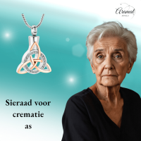 Keltische as-hanger staal triquetra met kristal - Heren