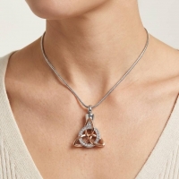 Keltische as-hanger staal triquetra met kristal - Heren
