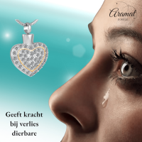 Sprankelend Hart As-Sieraad Staal met Kristal &acirc;&euro;&ldquo; Luxe Gedenksieraad RVS - Unisex