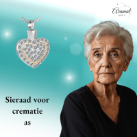 Sprankelend Hart As-Sieraad Staal met Kristal &acirc;&euro;&ldquo; Luxe Gedenksieraad RVS - Unisex