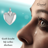 Hartvormig As Sieraad Staal &acirc;&euro;&ldquo; 2,8cm Rouwsieraad Zilverkleurig - Unisex