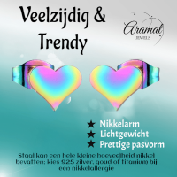 Regenboog hartjes oorstekers &acirc;&euro;&ldquo; 9x8mm vrolijk RVS -
