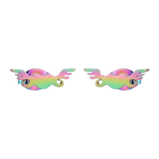 Regenboog hartjes oorstekers met vleugels &acirc;&euro;&ldquo; 11mm -