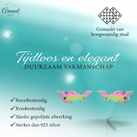 Regenboog hartjes oorstekers met vleugels &acirc;&euro;&ldquo; 11mm -