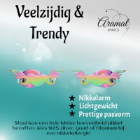 Regenboog hartjes oorstekers met vleugels &acirc;&euro;&ldquo; 11mm -