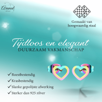 Regenboog hartjes oorstekers RVS &acirc;&euro;&ldquo; 8x7mm uniek -