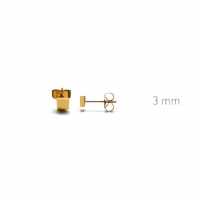 Oorstekers &acirc;&euro;&ldquo; Staal Vierkant Goudkleurig (3mm) -