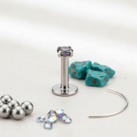 Helix Tragus Piercing Zilver Multikleur Zirkonia 3mm - Dames
