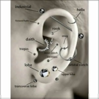 Helix Tragus Piercing Goudkleur Zirkonia 6mm 1.2mm - Dames