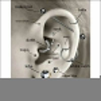 Helix Tragus Piercing Rosegoudkleur Zirkonia 6mm 1.2mm - Dames
