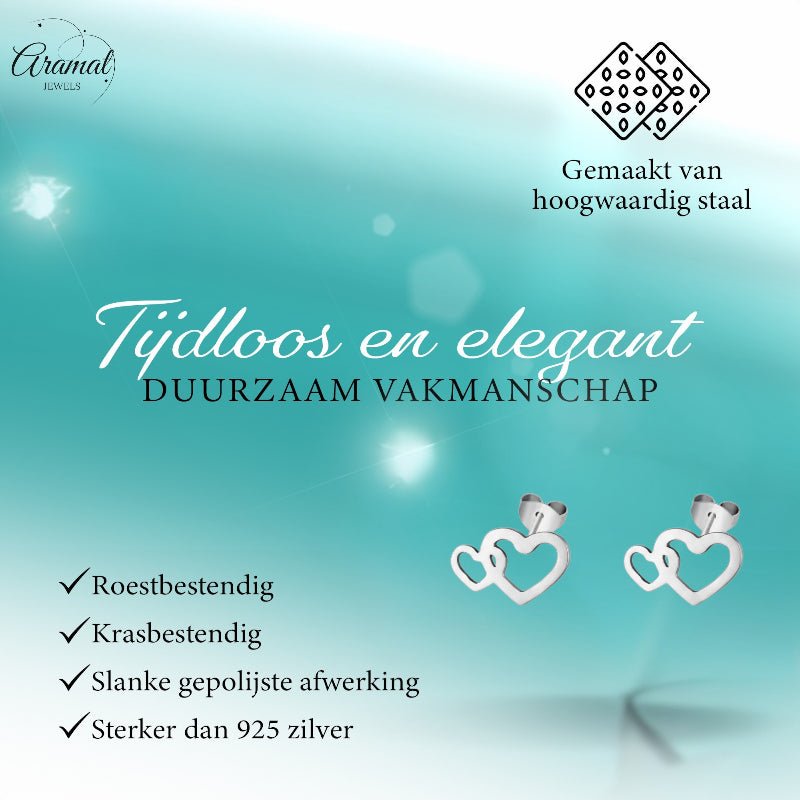 RVS Dubbele Hartjes Oorstekers Zilver 12x8mm -