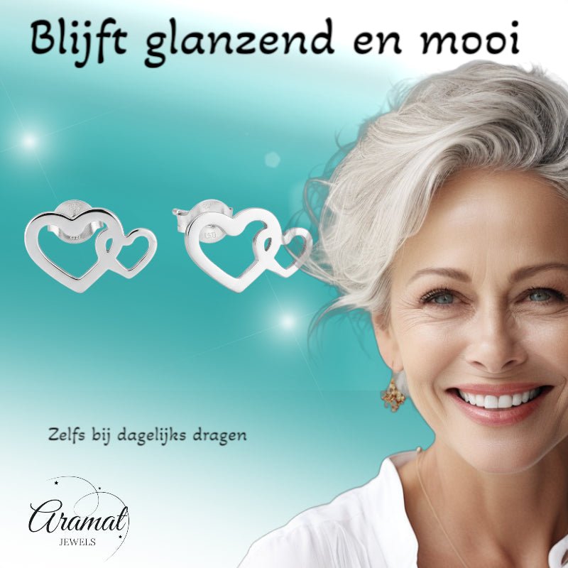 Staal Dubbel Hart Oorstekers Zilver 12x8mm RVS -