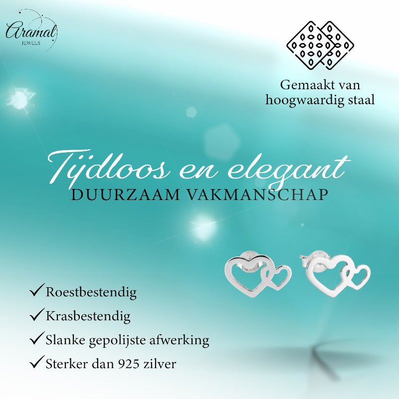 Staal Dubbel Hart Oorstekers Zilver 12x8mm RVS -
