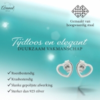 Roestvrij Staal Hart Oorbellen Zilver 6mm Open -
