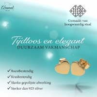Staal Hartje Oorstekers Goudkleur 8mm Gesloten -