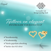Roestvrij Staal Hartje Oorbellen Goudkleur 8mm Open -