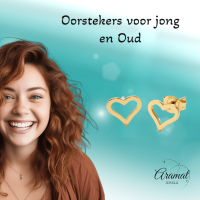 Roestvrij Staal Hartje Oorbellen Goudkleur 8mm Open -