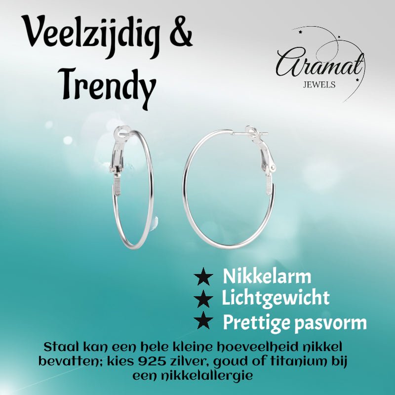 Metalen Oorringen Zilverkleurig 30mm Klapscharnier -