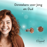 Stalen Kattenoog Oorbellen 8mm &acirc;&euro;&ldquo; Oranje/Rood -