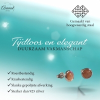 Stalen Kattenoog Oorbellen 8mm &acirc;&euro;&ldquo; Oranje/Rood -