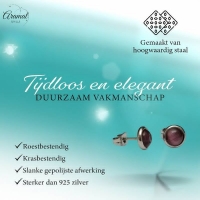 Stalen Kattenoog Oorbellen 8mm &acirc;&euro;&ldquo; Paars -