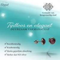 Stalen Kattenoog Oorbellen 8mm &acirc;&euro;&ldquo; Paars -