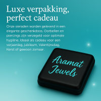 Jasseron Halsketting RVS 80 cm &acirc;&euro;&ldquo; 2 mm - Unisex