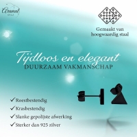 Stalen Oorbellen Driehoek Zwart &acirc;&euro;&ldquo; 8mm -