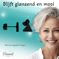 Stalen Oorbellen Driehoek Zwart &acirc;&euro;&ldquo; 8mm -